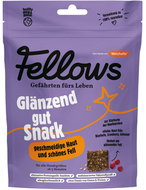 Fellows Hmyzí funkční pamlsky na výživu srsti a kůže Glänzend 125 g - Dog Treats