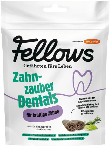 Fellows Insect Dental Sticks 320 g - Dog Treats - Main image