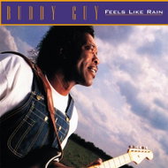 Guy Buddy: Feels Like Rain - LP - LP Record