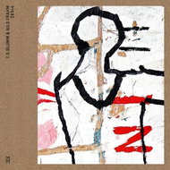 Blumm F. S. & Frahm Nils: 2x1=4 (2x LP) - LP - LP Record