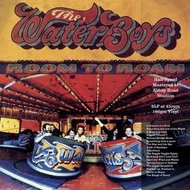 Waterboys: Room To Roam (Half Speed Master) (2x LP) - LP - LP vinyl