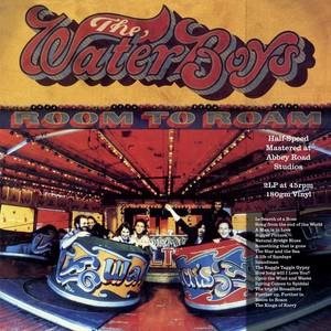 Waterboys: Room To Roam (Half Speed Master) (2x LP) - LP - LP vinyl - Main image