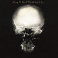 Ministry: Mind Is A Terrible Thing To Taste - LP - LP vinyl