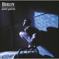 Gabriel Peter: Birdy - LP - LP Record