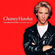 Hawkes Chesney: Complete Picture The Albums 1991-2012 (5x CD + DVD) - CD-DVD - Hudební DVD