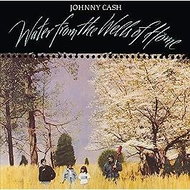 Cash Johnny: Water From the Wells of Home - LP - LP vinyl