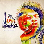 Hendrix Jimi, Various: Many Faces of Jimi Hendrix (2x LP) - LP - LP vinyl