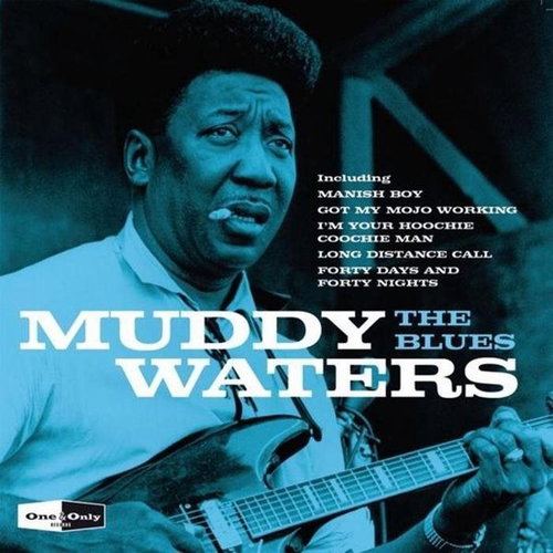 Waters Muddy: The Blues - CD - Music CD - Main image
