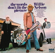 Nelson Willie: Words Don't Fit The Picure - CD - Hudební CD