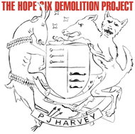 Harvey PJ: Hope Six Demolition Project - LP - LP vinyl