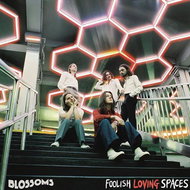 Blossoms: Foolish Loving Spaces - CD - Music DVD