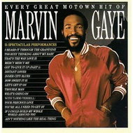 Gaye, Marvin: Every Great Motown Hit Of Marvin Gaye / Spectacular Performances - LP - LP Record