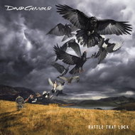 Gilmour David: Rattle That Lock - LP - LP Record