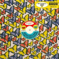 King Gizzard & the Lizard Wizard: Butterfly 3001 (2x LP) - LP - LP Record