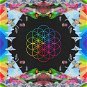 LP vinyl Coldplay: A Head Full Of Dreams (2x LP) - LP - LP vinyl
