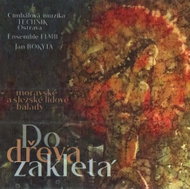 CM Technik & Flair Ensamble: Do dřeva zakletá (2x CD) - CD - Music CD