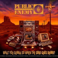 Public Enemy: What You Gonna Do When The Grid Goes Down? - LP - LP Record