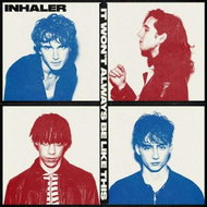Inhaler: It Won't Always Be Like This - LP - LP Record