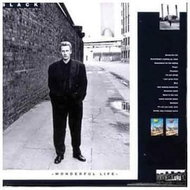 Black: Wonderful Life - CD - Hudební CD