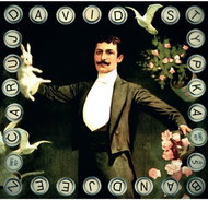 Stypka David: Enchant - LP - LP Record