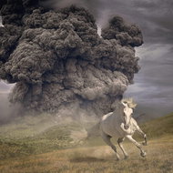 White Buffalo: Year Of The Dark Horse - LP - LP vinyl
