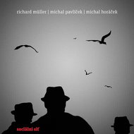 Müller Richard: Social Network - LP - LP Record
