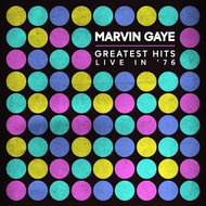 Gaye Marvin: Greatest Hits Live In '76 - LP - LP Record