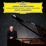 Various: Piano Sonatas / Variations - Set (13x CD) - CD - Music CD