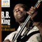 King, B.B.: Milestones (10x CD) - CD - Hudební CD
