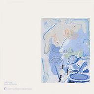 Banhart Devendra: Vast Ovoid - LP - LP Record