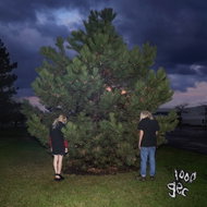 100 Gecs: 1000 Gecs - LP - LP vinyl