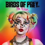 Birds Of Prey: The Album (Picture Disc) - LP - LP Record