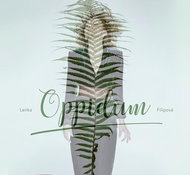 Filipová Lenka: Oppidum - CD - Hudební CD
