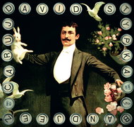 Stypka David: Čaruj - CD - Music CD