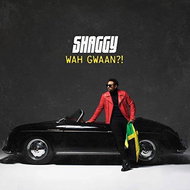 Shaggy: Wah Gwaan?! - CD - Music CD