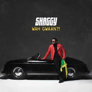 Shaggy: Wah Gwaan?! (2x LP) - LP - LP Record