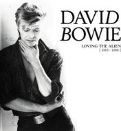 Bowie David: Loving The Alien (1983 - 1988) (15x LP) - LP - LP vinyl