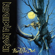 Iron Maiden: Fear Of The Dark (Remastered 2017) (2x LP) - LP - LP Record