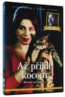 Až přijde kocour / Šest otázek pro Jana Wericha - DVD - Film na DVD