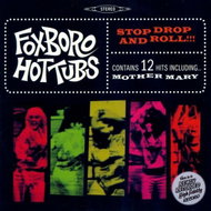 Foxboro Hottubs: Stop Drop And Roll !!! - LP - LP Record