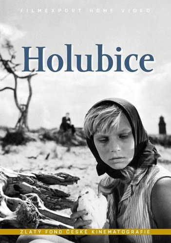 Holubice - DVD - Film na DVD - Main image