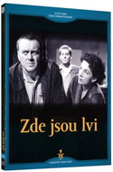 Zde jsou lvi - DVD - Film na DVD