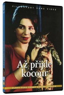 When the Cat Comes - DVD - DVD Film
