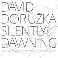 Dorůžka David: Silently Dawning - CD - Music CD