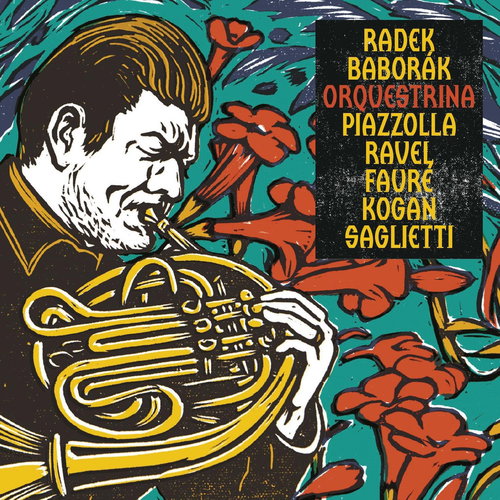 Baborák Radek: Orchestra (2014) - CD - Music CD - Main image
