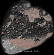Voňková Dagmar: Archa - CD - Music CD