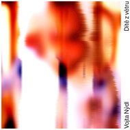 Nýdl Vojta: Dítě z větru - CD - Hudební CD