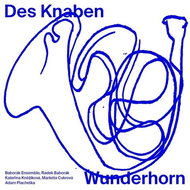 Various: Des Knaben Wunderhorn (2x CD) - CD - Hudební CD