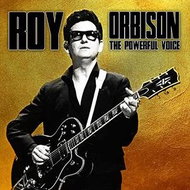Orbison Roy: The Powerful Voice - LP - LP Record