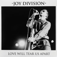 Joy Division: Love Will Tear Us Apart - LP - LP Record